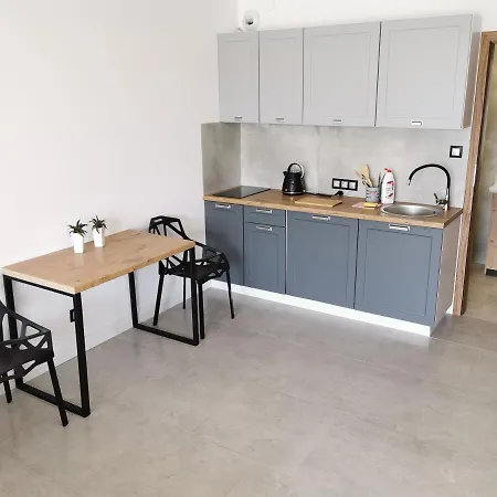 Przystan Letnica Flou 700m Plaza 公寓 格但斯克